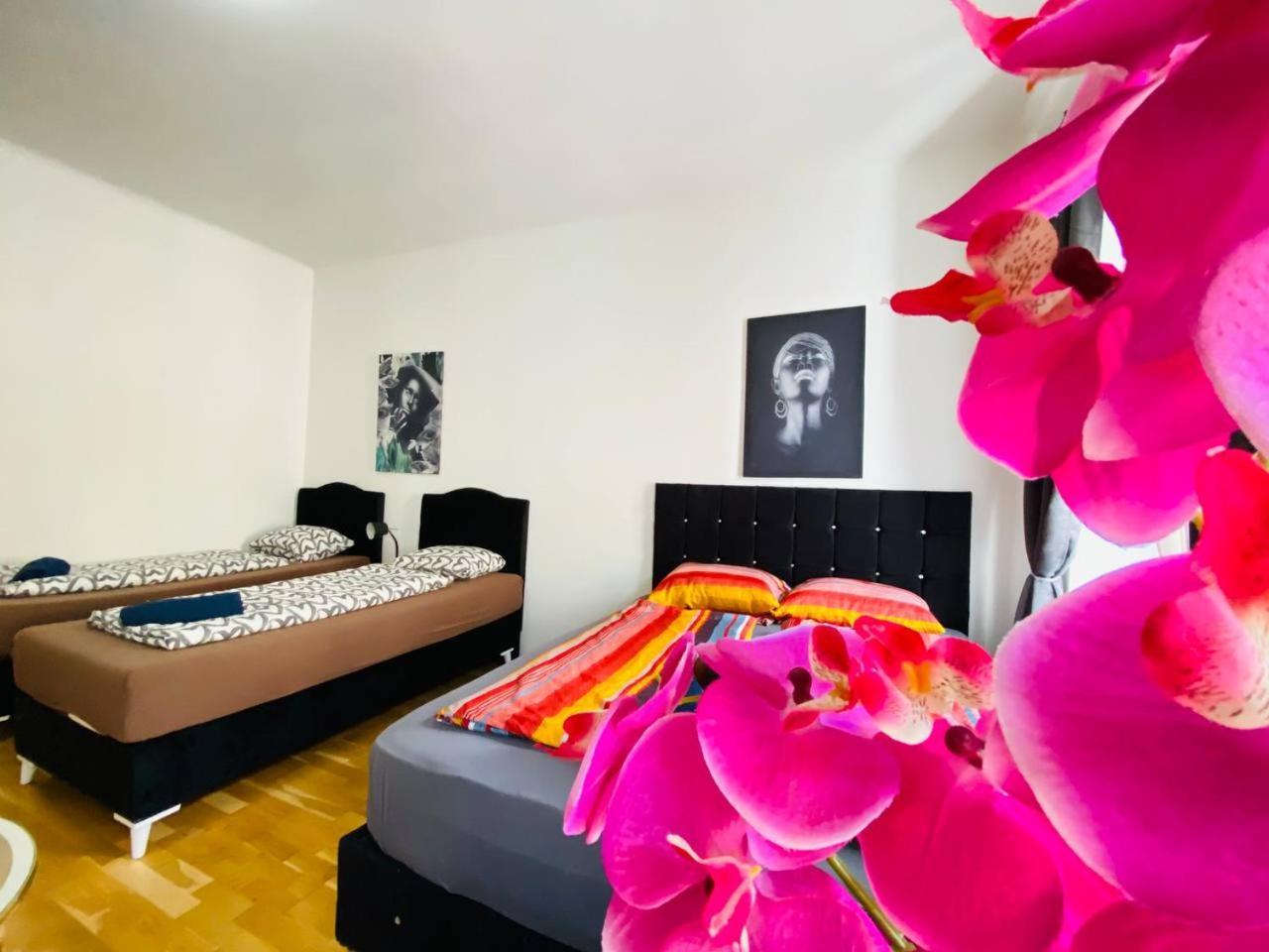 Deluxe Studio In Josefstaedter Strasse Area Appartement Wenen Buitenkant foto