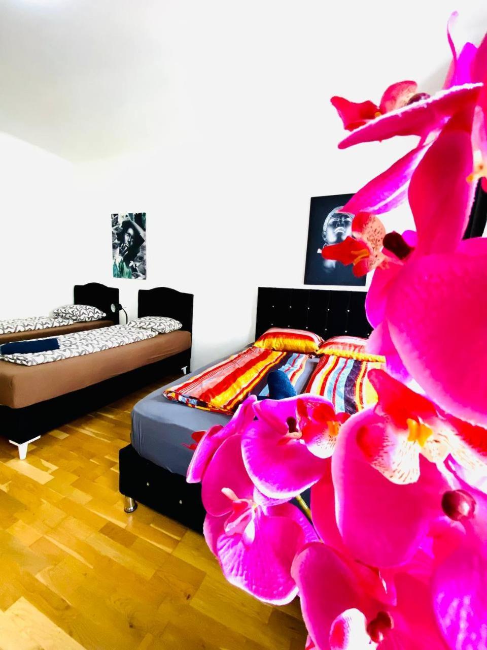 Deluxe Studio In Josefstaedter Strasse Area Appartement Wenen Buitenkant foto